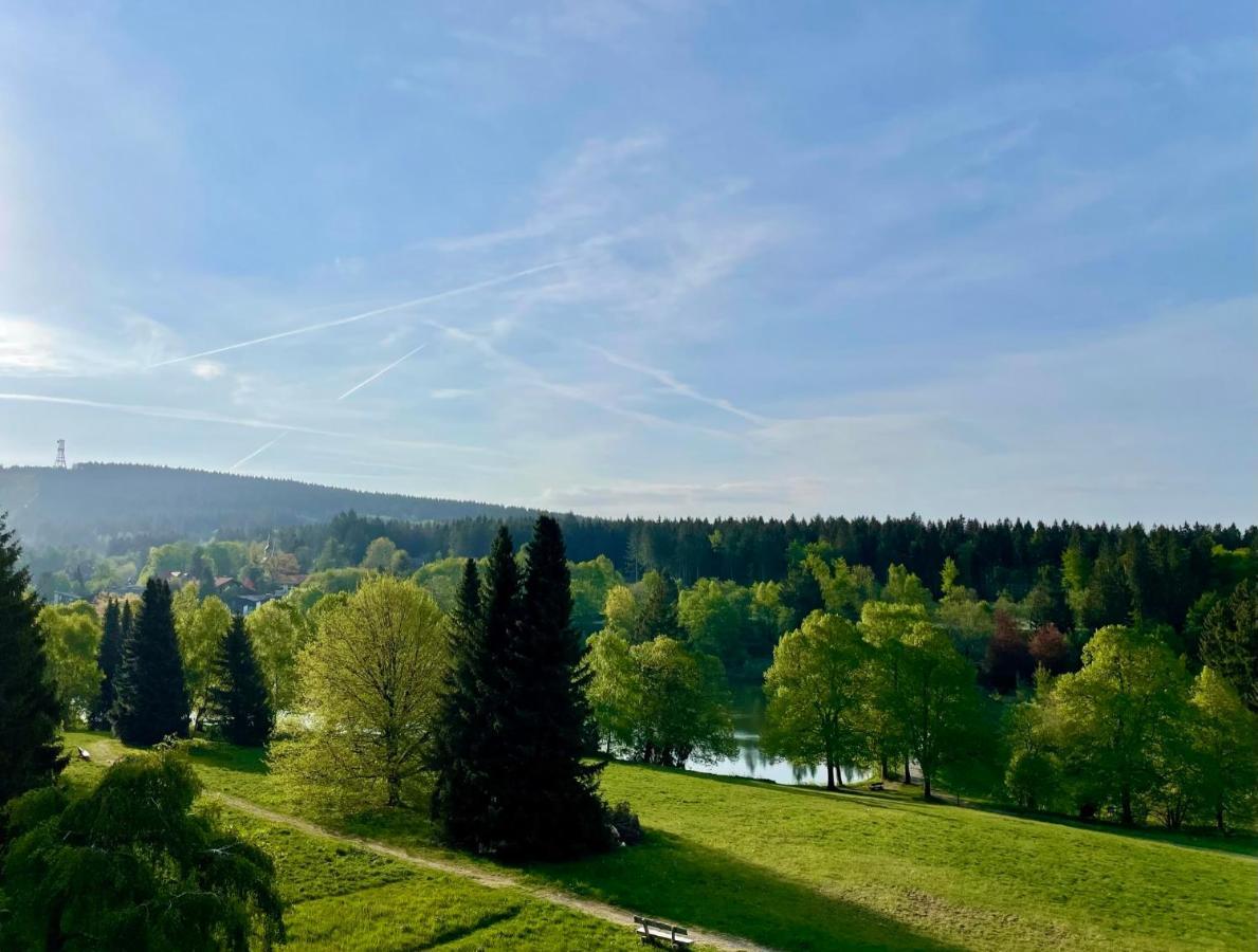 Ferienwohnung Harzurlaub ゴスラー エクステリア 写真