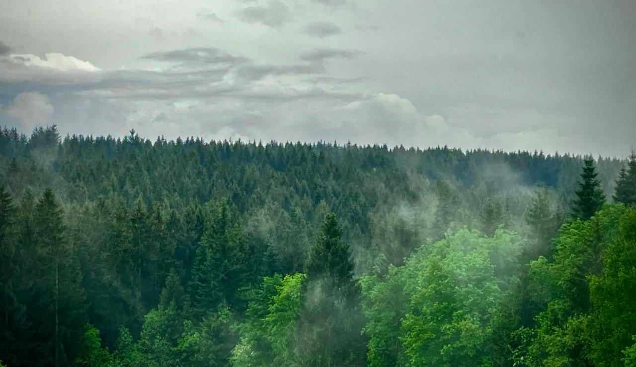Ferienwohnung Harzurlaub ゴスラー エクステリア 写真